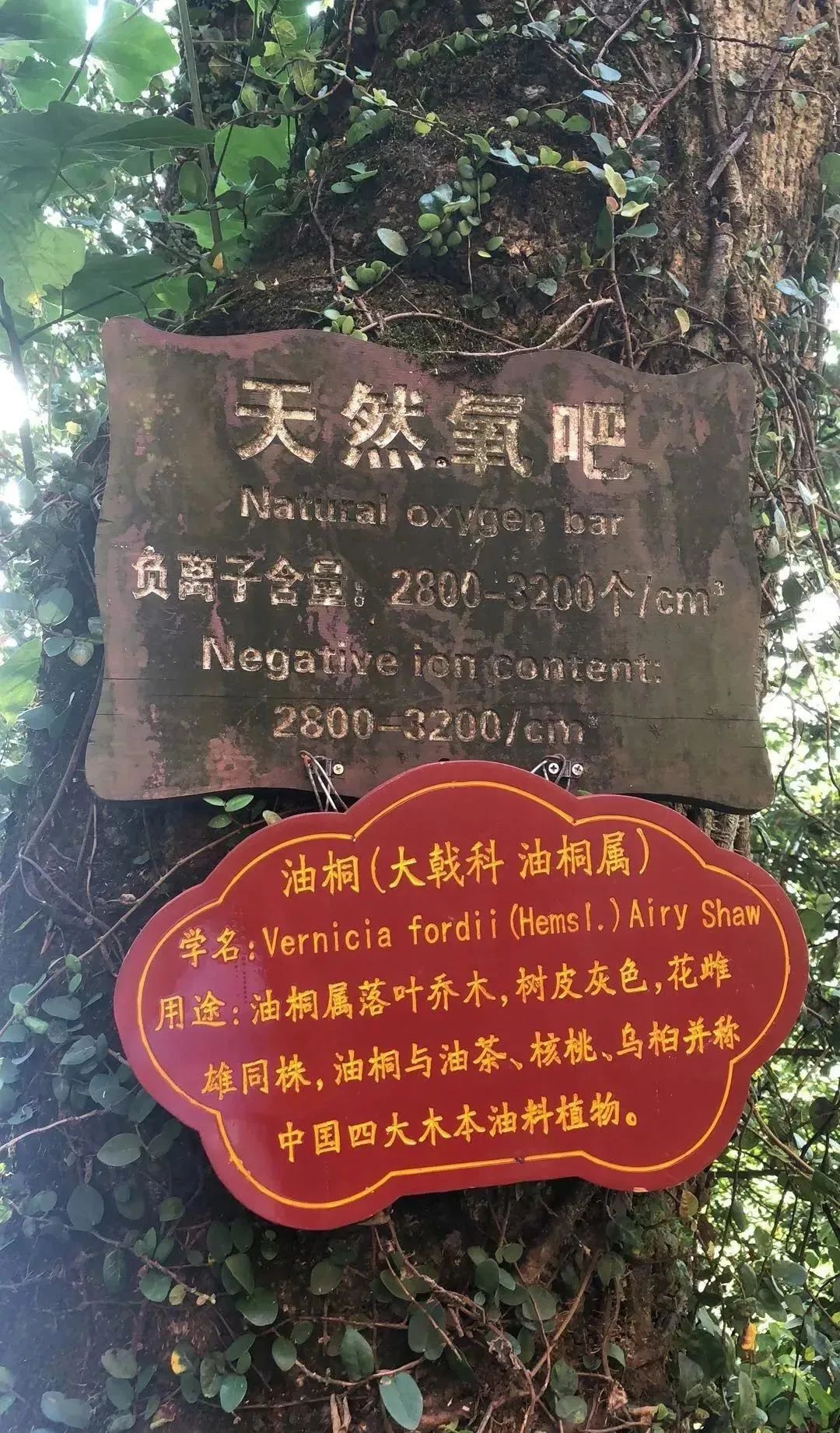 负离子对身体系统的影响3.jpg 负离子对身体系统的影响3.jpg